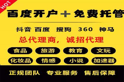 行业领先企业的SEM竞价推广策略揭秘